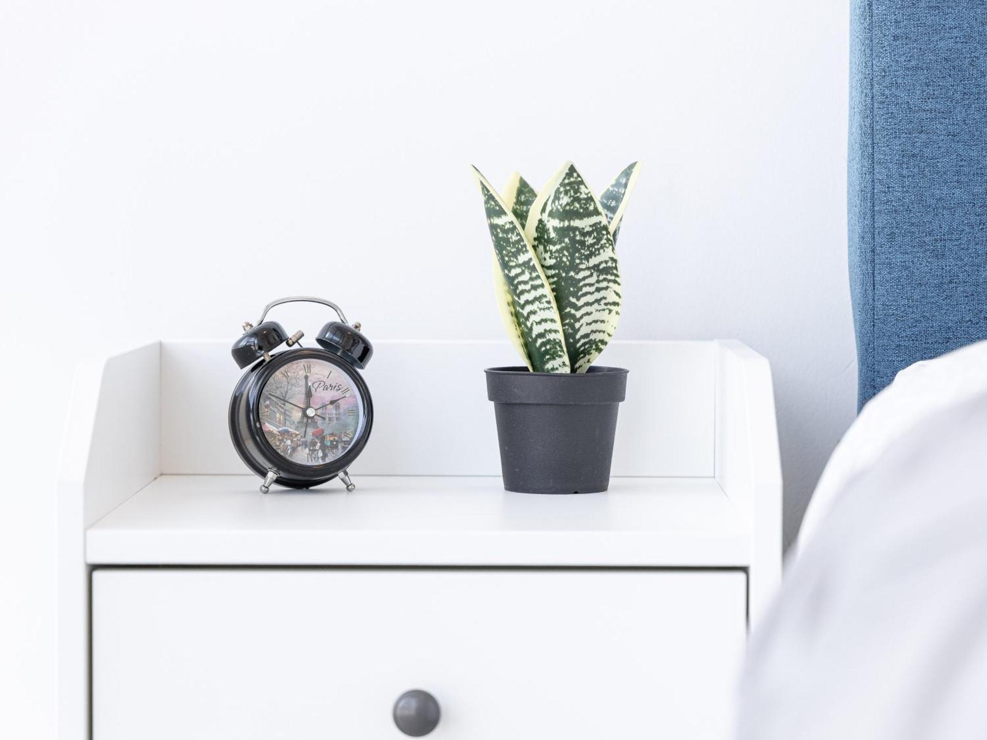 Globalstay. Amazing Downtown Apartments トロント エクステリア 写真
